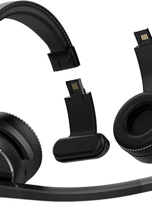 Detachable Headphone